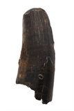 Suchomimus Tooth (serrated) - 1.27 Inch