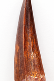 Spinosauridae tooth - 2.65 inch