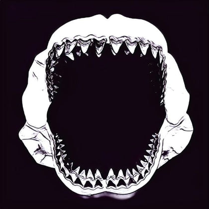 Megalodon