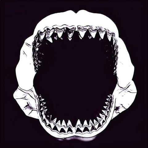 Megalodon